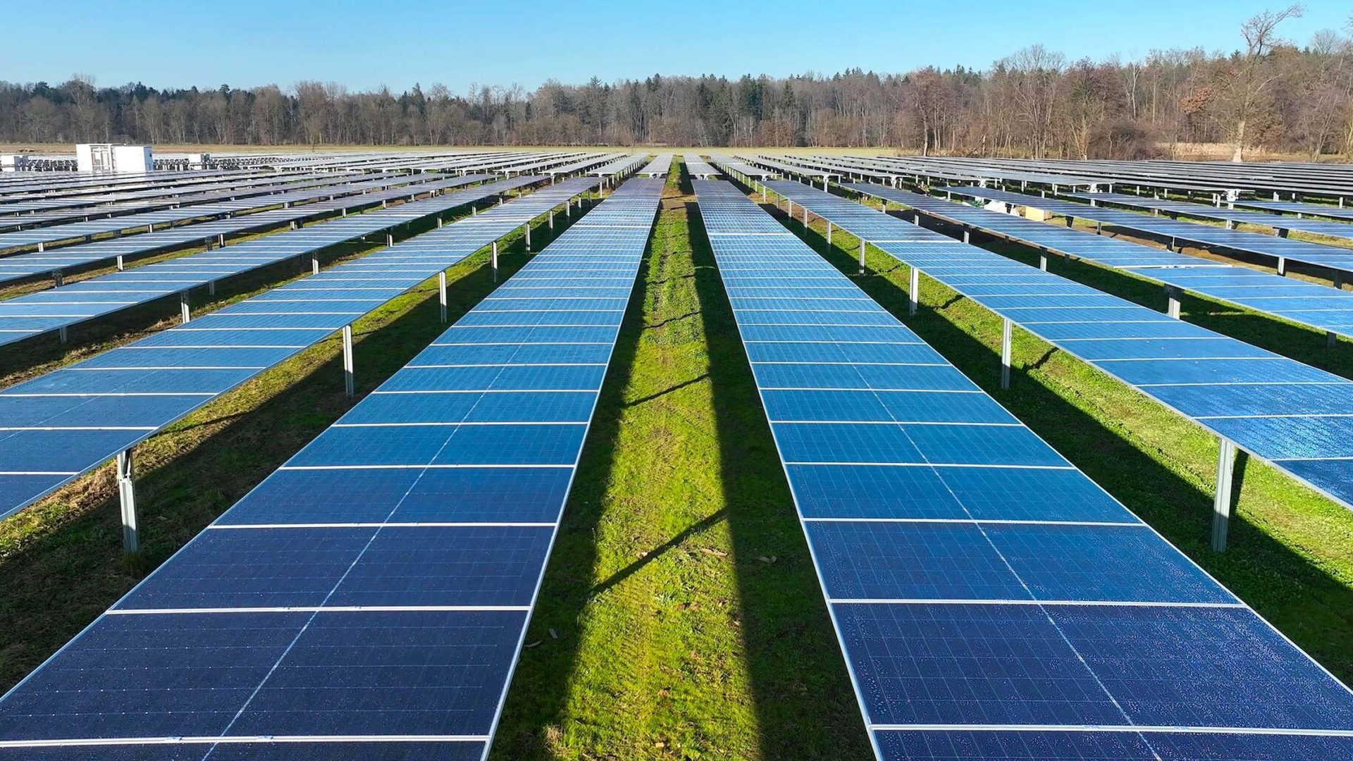Aufnahme der Agri-Photovoltaikanlage Halbenrain: Tracker-Reihen über Grünland